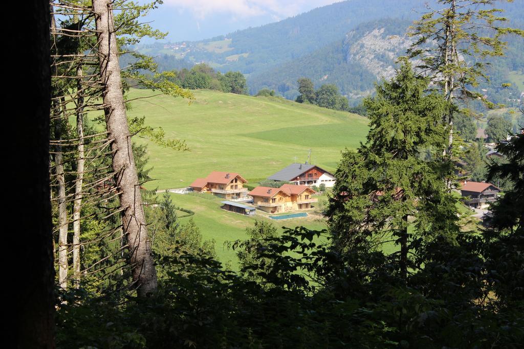 Le Chalet D'Ulysse Araches-la-Frasse Exterior photo