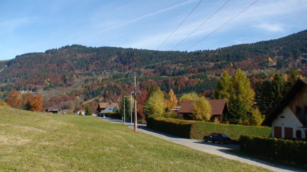 Le Chalet D'Ulysse Araches-la-Frasse Exterior photo